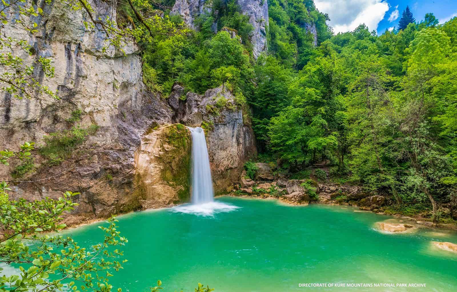 Kure WIlderness-28998.jpg