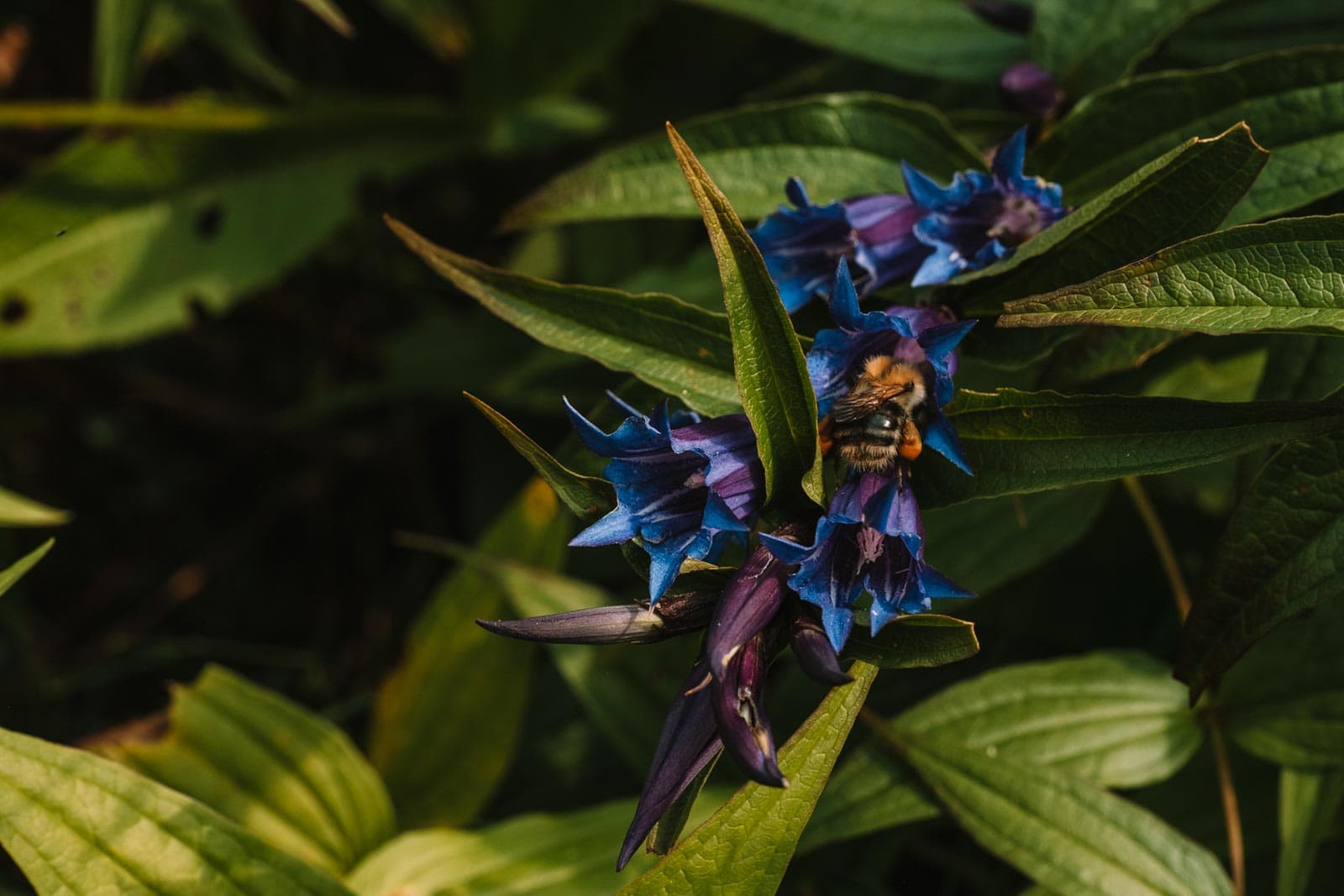 Ukraine Nature © Brandon Hartwig-26247.jpg