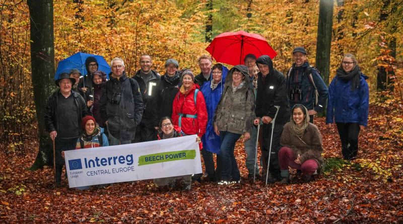 Beech Power Situational analysis workshop Angermuende-30874.JPG