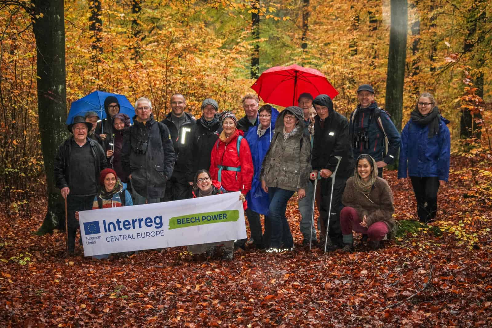 Beech Power Situational analysis workshop Angermuende-30874.JPG