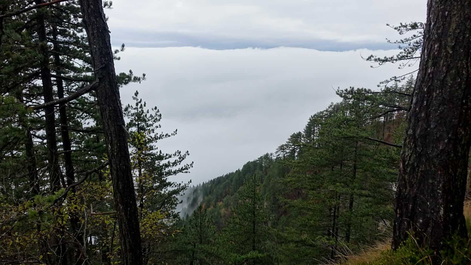 Krokar BEECH POWER Workshops Slovenia-30769.JPG - © European Wilderness Society CC BY-NC-ND 4.0