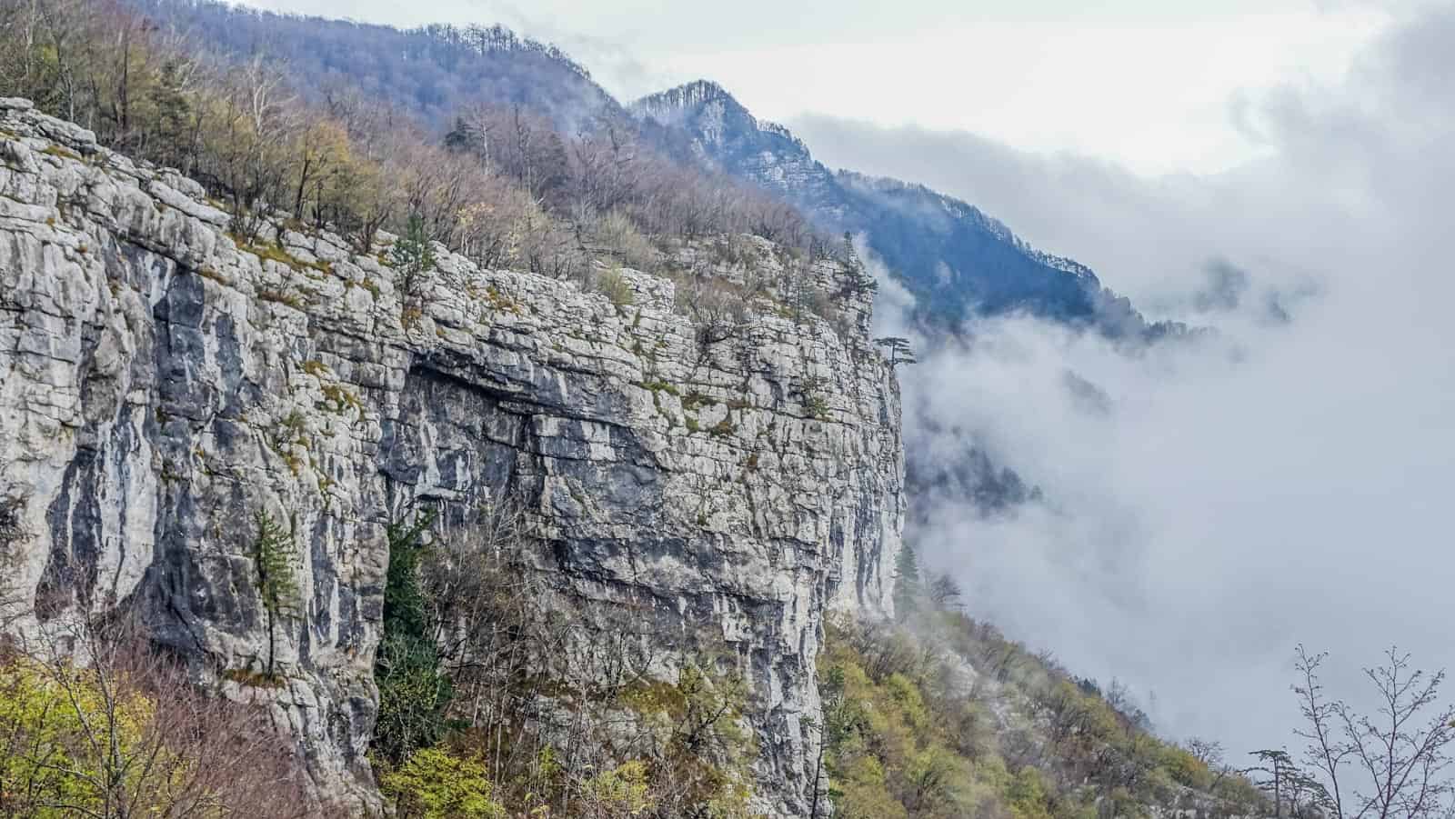 Krokar BEECH POWER Workshops Slovenia-30770.JPG - © European Wilderness Society CC BY-NC-ND 4.0