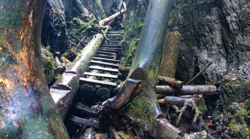 Slovenský raj National Park Sokol 30761.jpeg