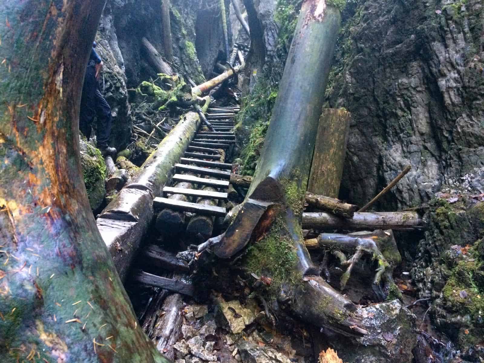 Slovenský raj National Park Sokol 30761.jpeg