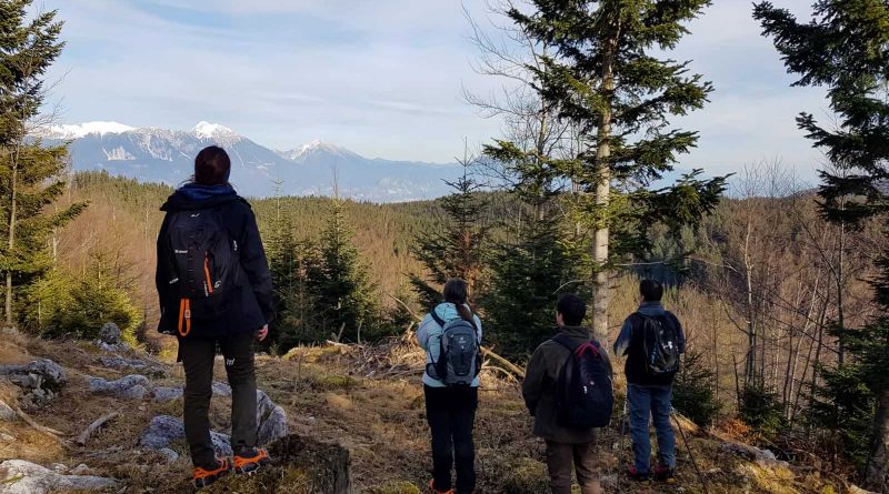 CEA WILDLIFE TRACKING-309392 _ 30985.jpg