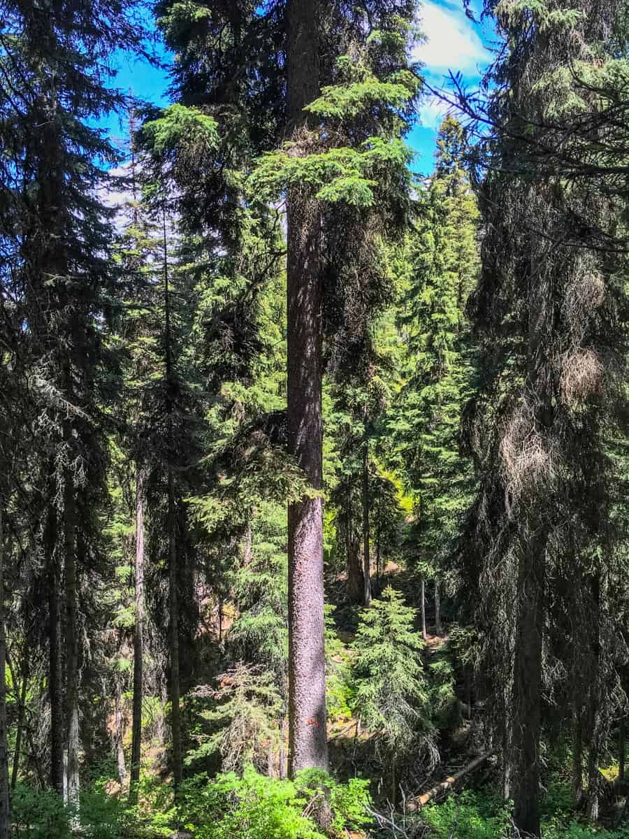 Fight for Wilderness-30919.JPG