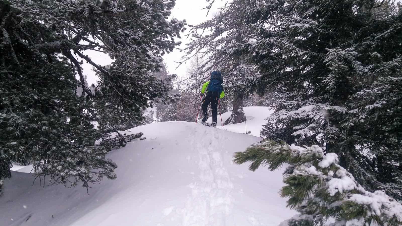 Snowshoeing in the Lungau-31047.jpg