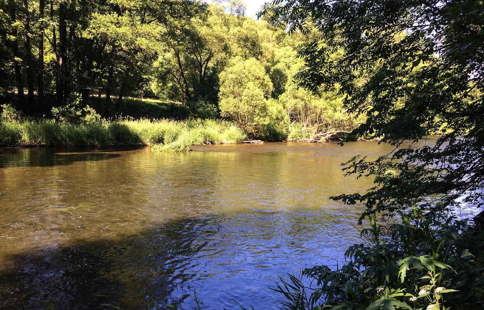 Podyji National Park 0025.jpg