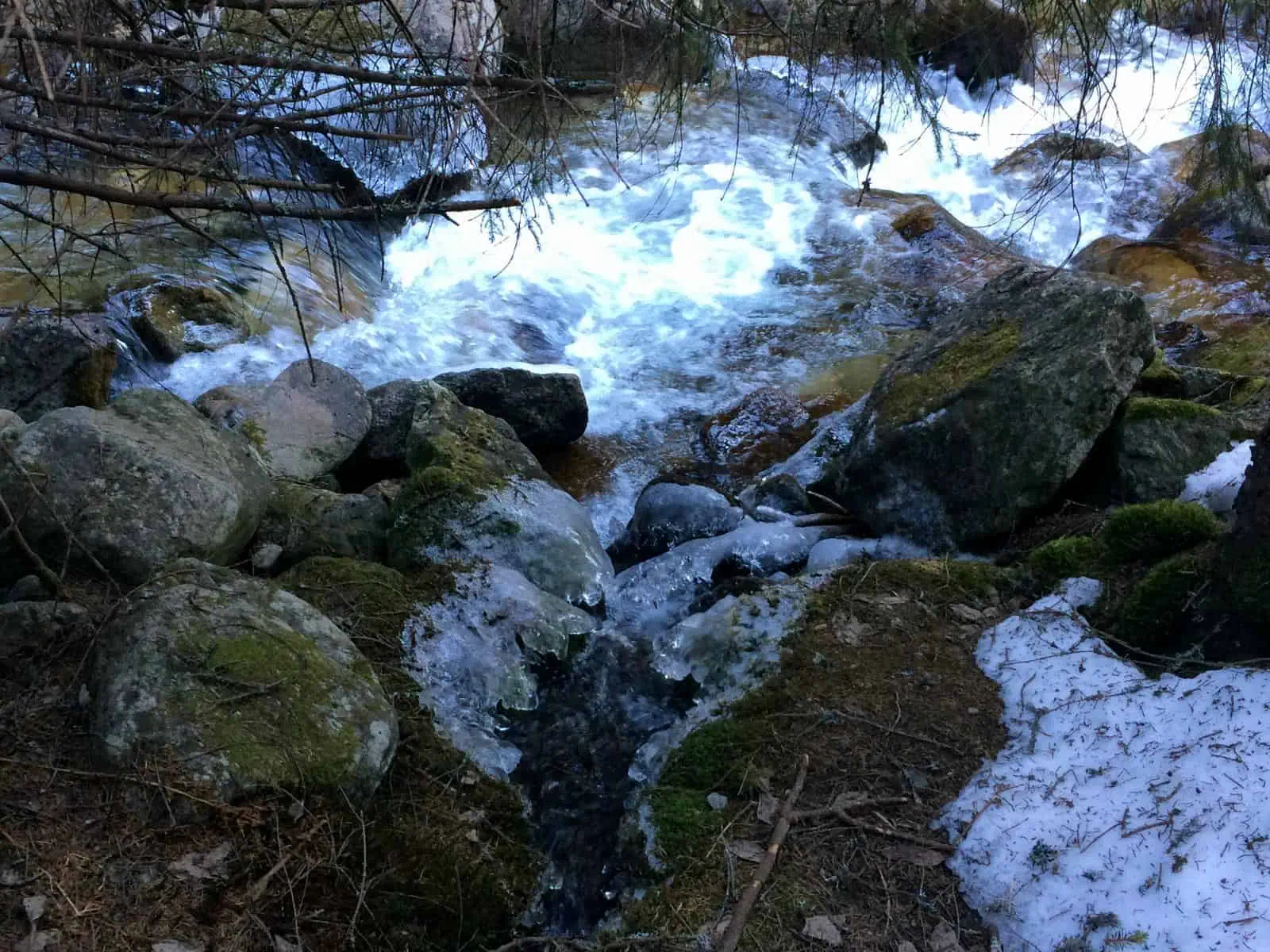 Wilderness Homeoffice-31139.jpeg