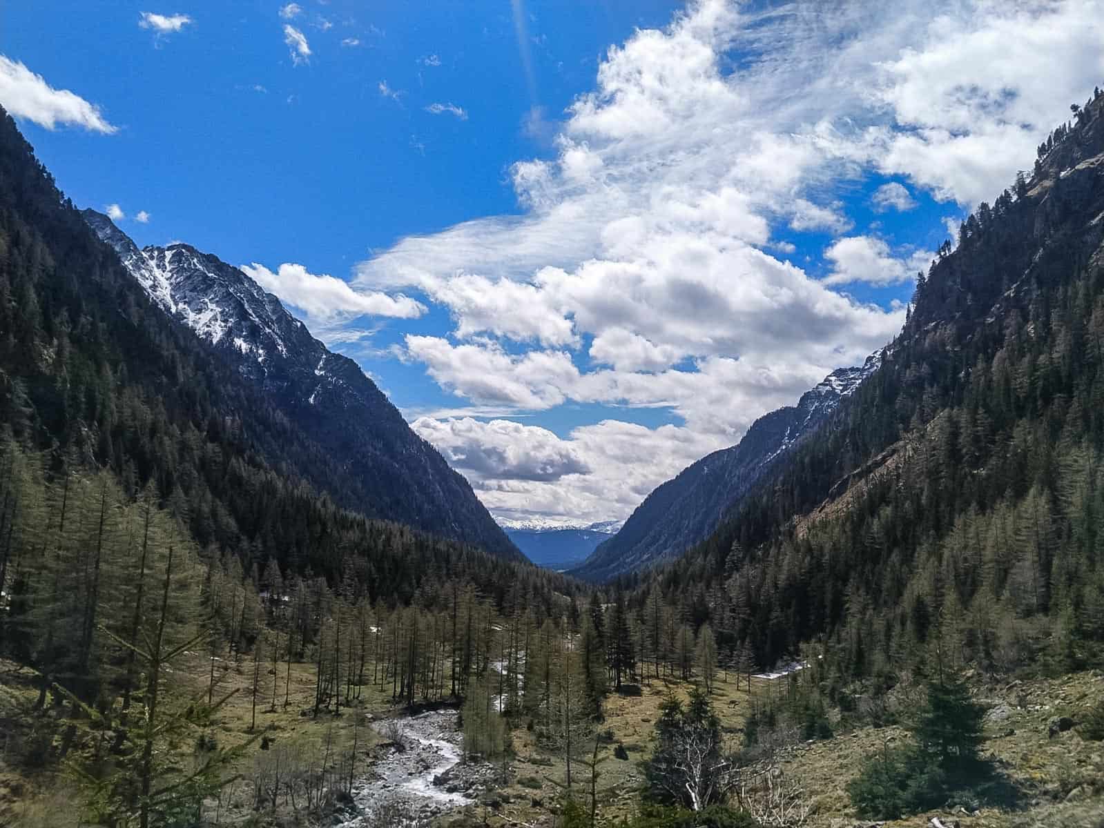 EWS Lockdown-31224.jpg - © European Wilderness Society CC BY-NC-ND 4.0