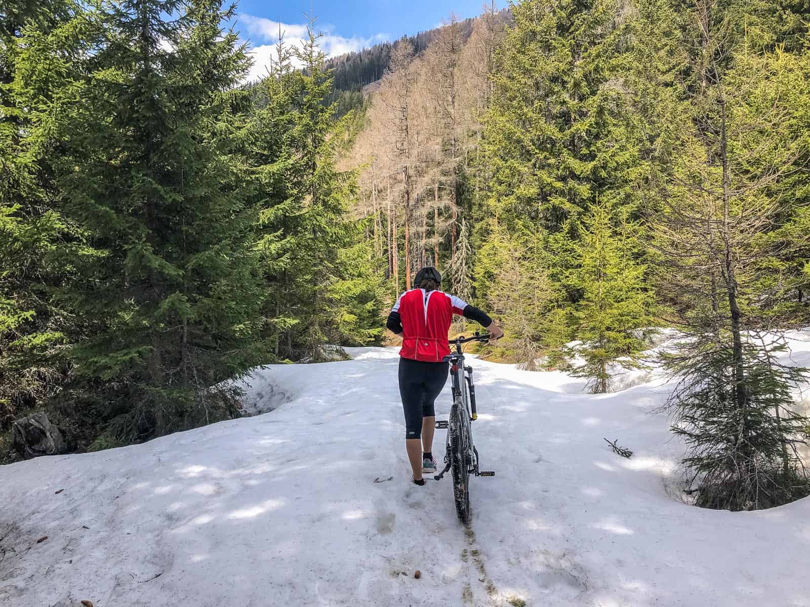 EWS Lockdown-31235.jpg - © European Wilderness Society CC BY-NC-ND 4.0