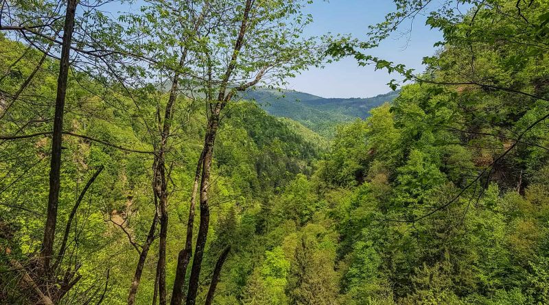 EWS Lockdown-31241.jpg