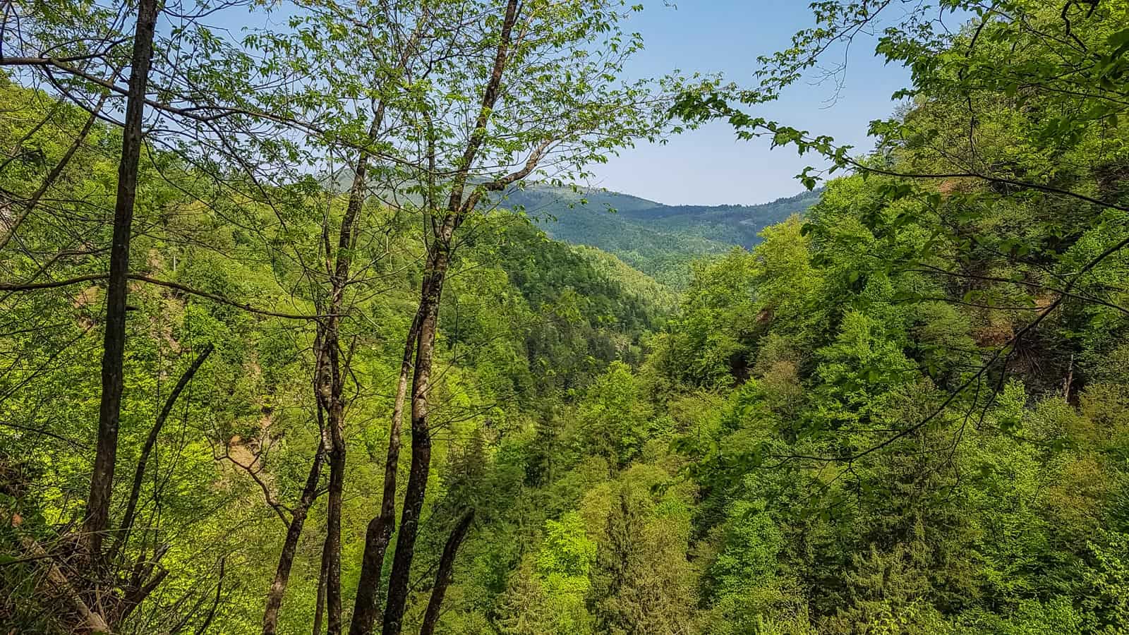 EWS Lockdown-31241.jpg