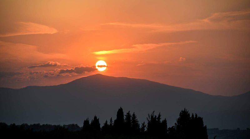 LIFEstockProtect -33647.JPG