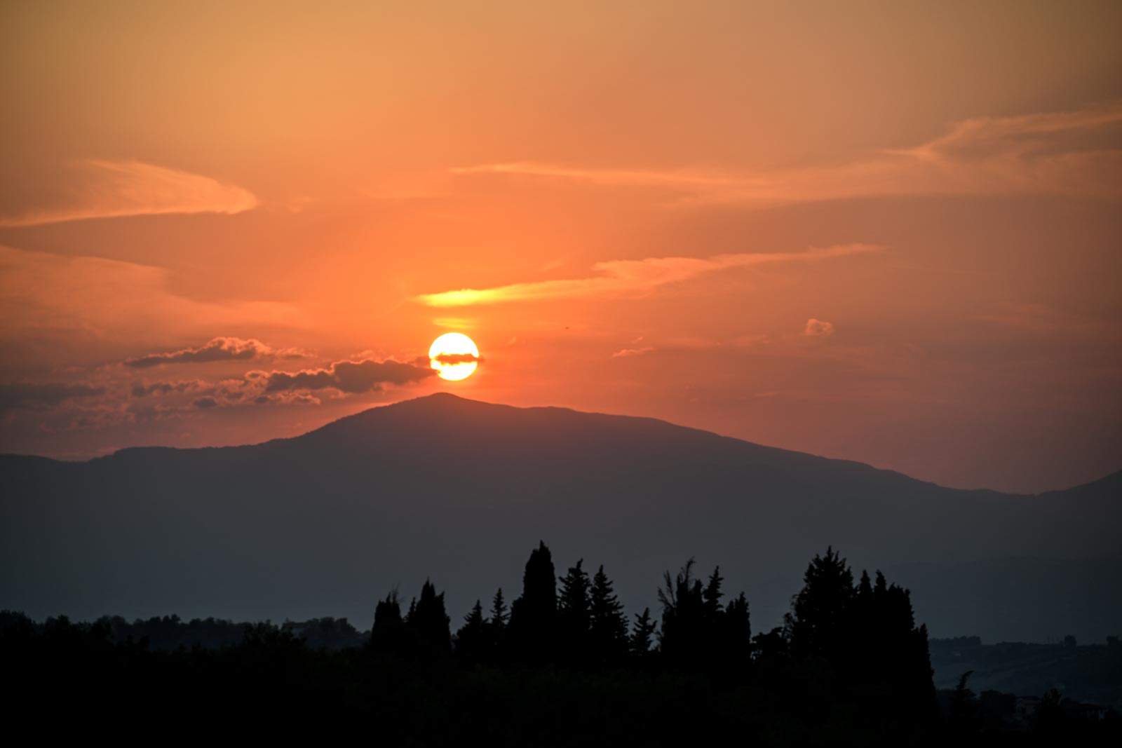 LIFEstockProtect -33647.JPG