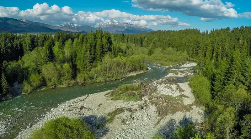 Bela WILDRIver ZivaRiekaErik Arola - 00045.png