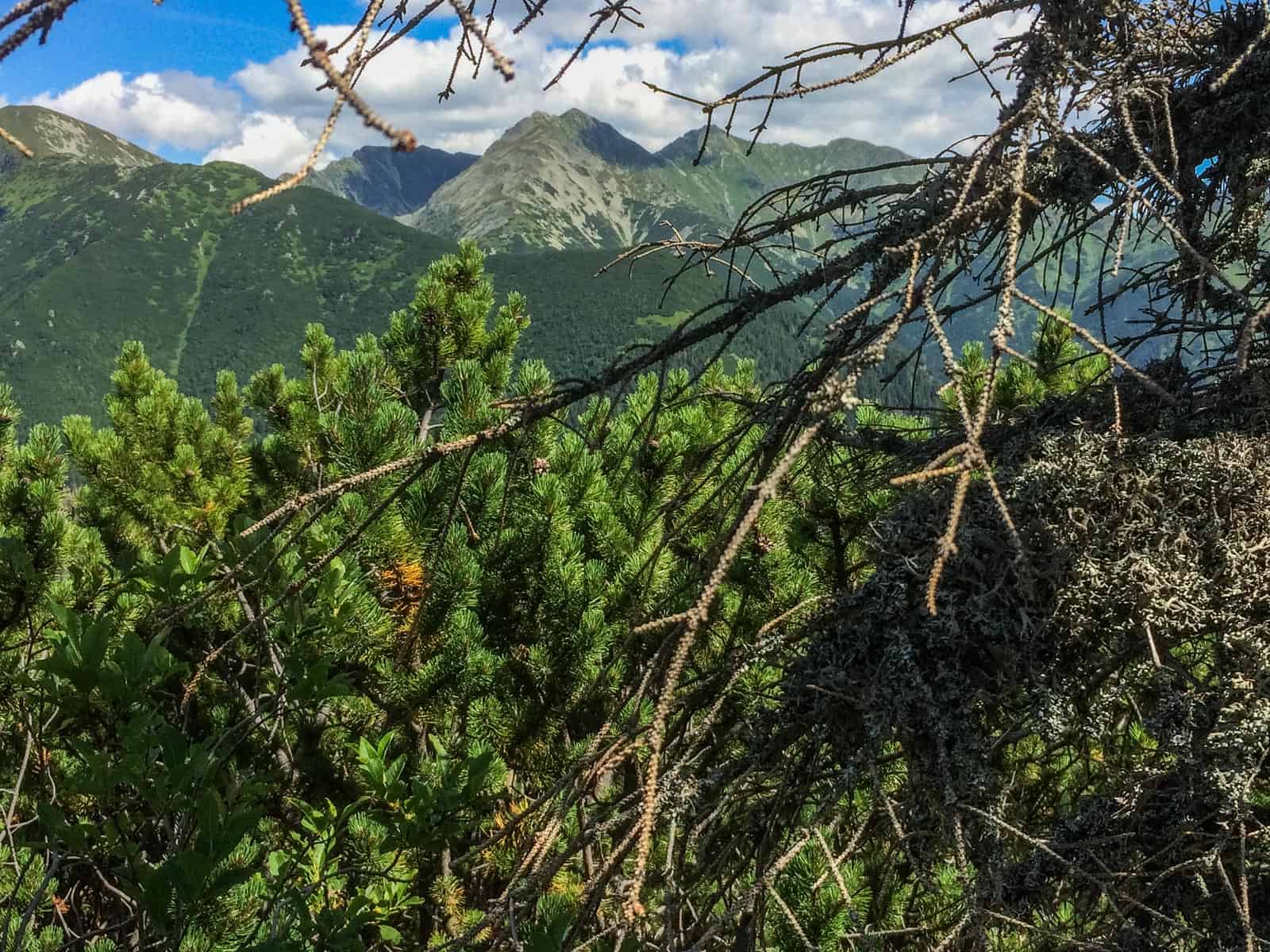 Jalovecka Wilderness Slovakia-33185.jpeg