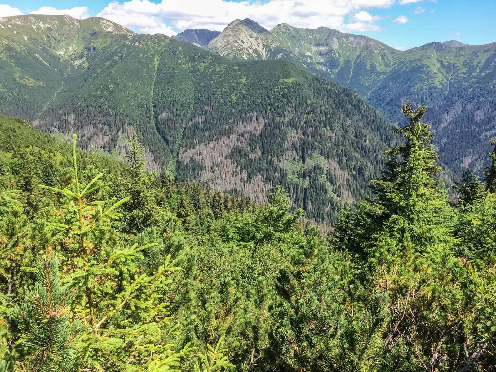 Jalovecka Wilderness Slovakia-33187.jpeg