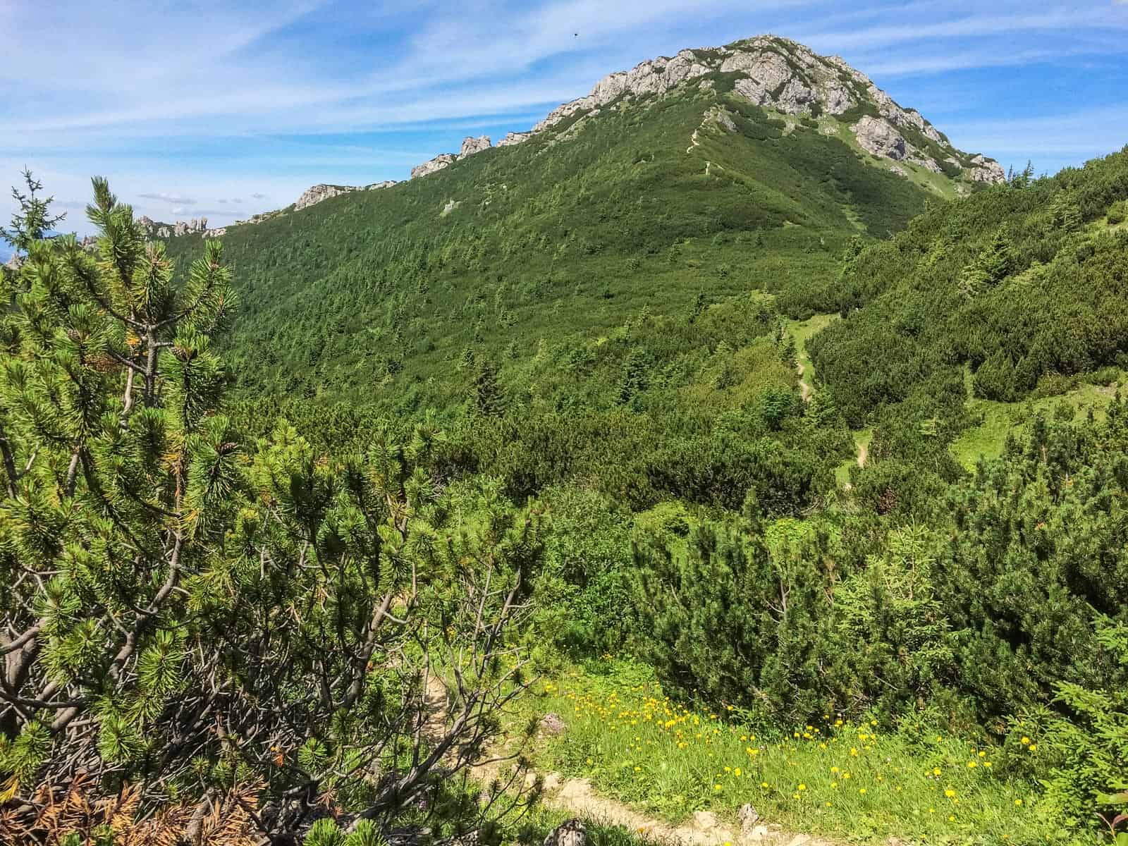 Jalovecka Wilderness Slovakia-33194.jpeg