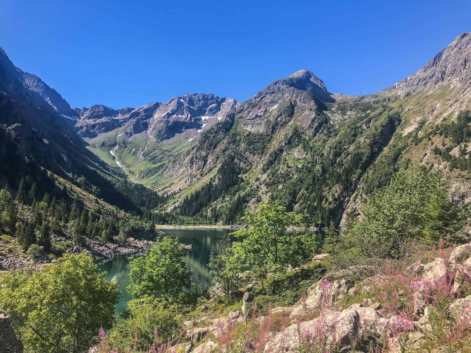 Lauvital Wild Area France-32400.jpg