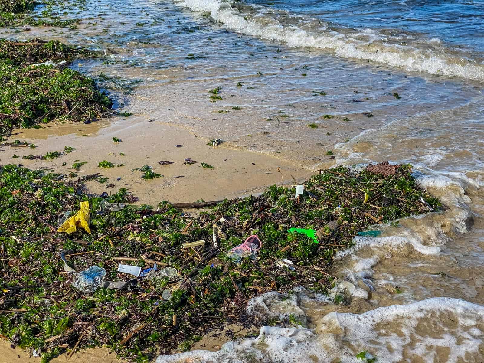 Plastic in Oceans-33095.JPG