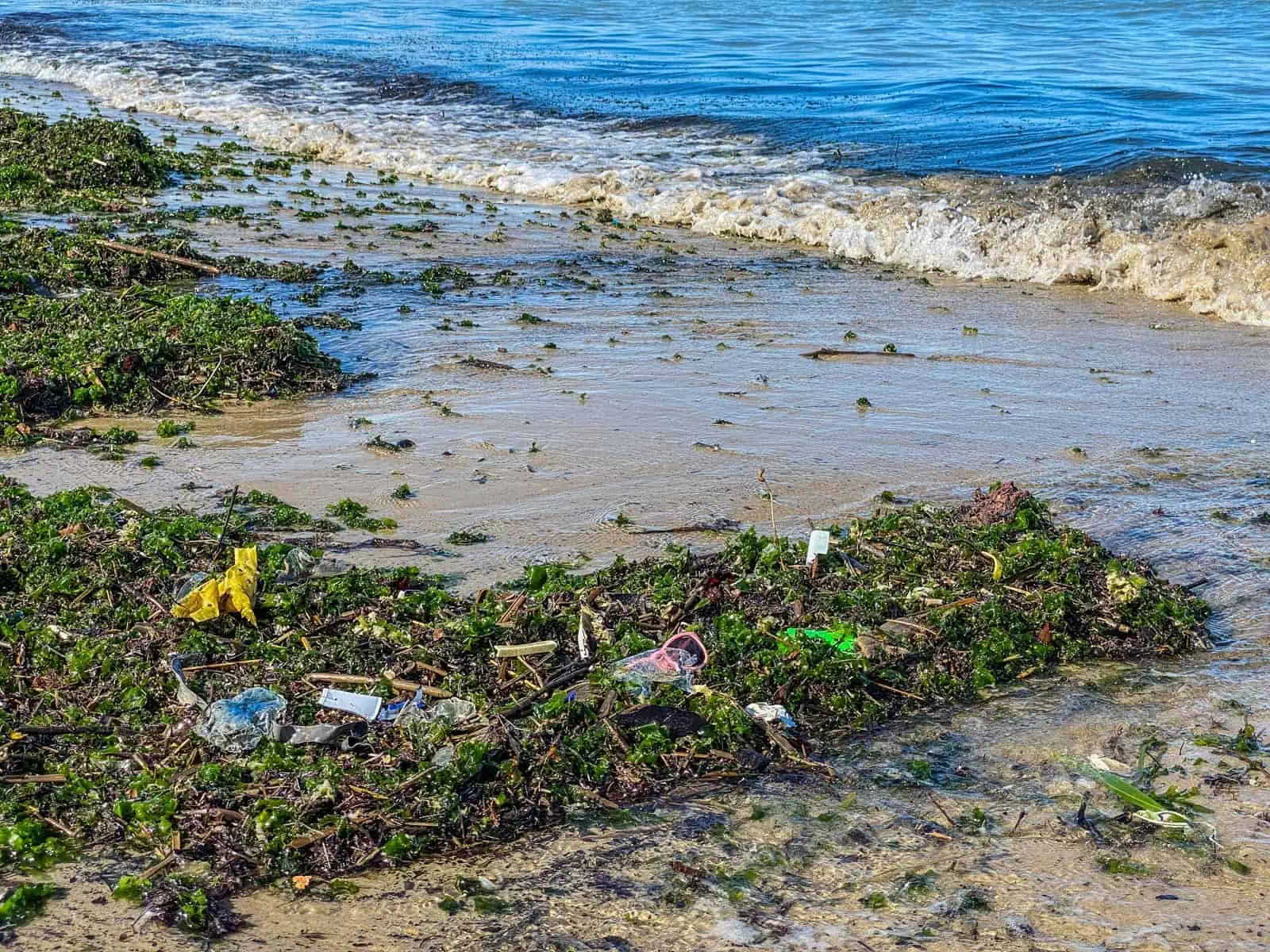 Plastic in Oceans-33097.JPG