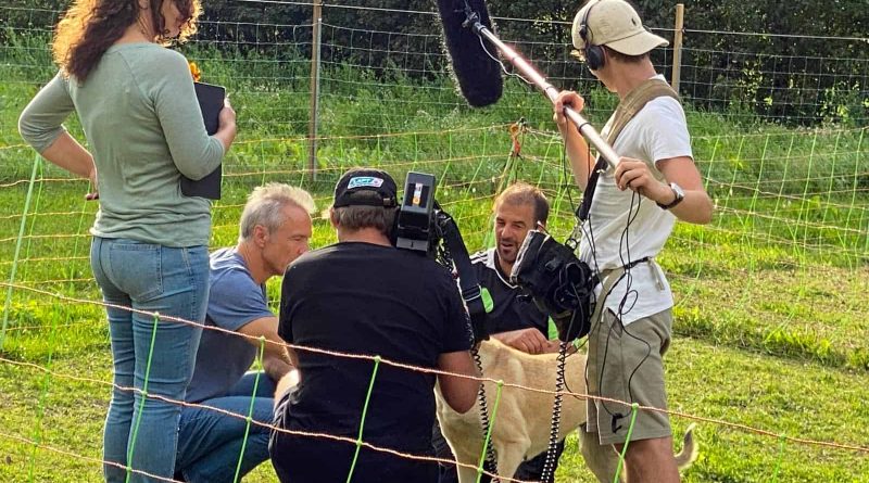 LIFEstockProtect -33272.JPG