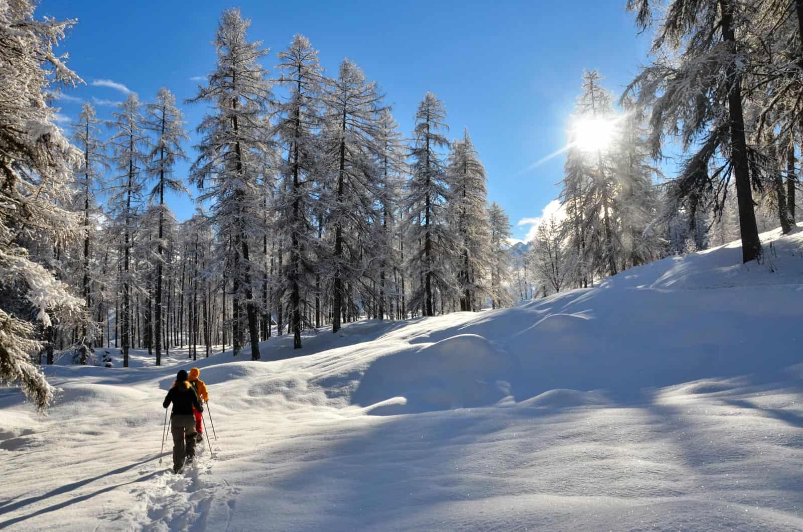 SonnigeWinterwanderung.jpg