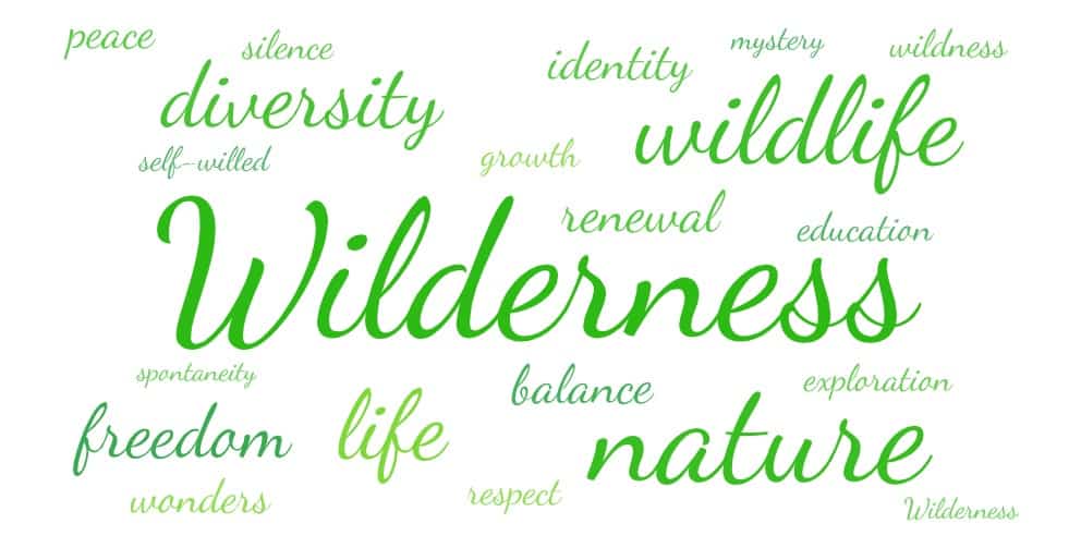 Word cloud Wilderness
