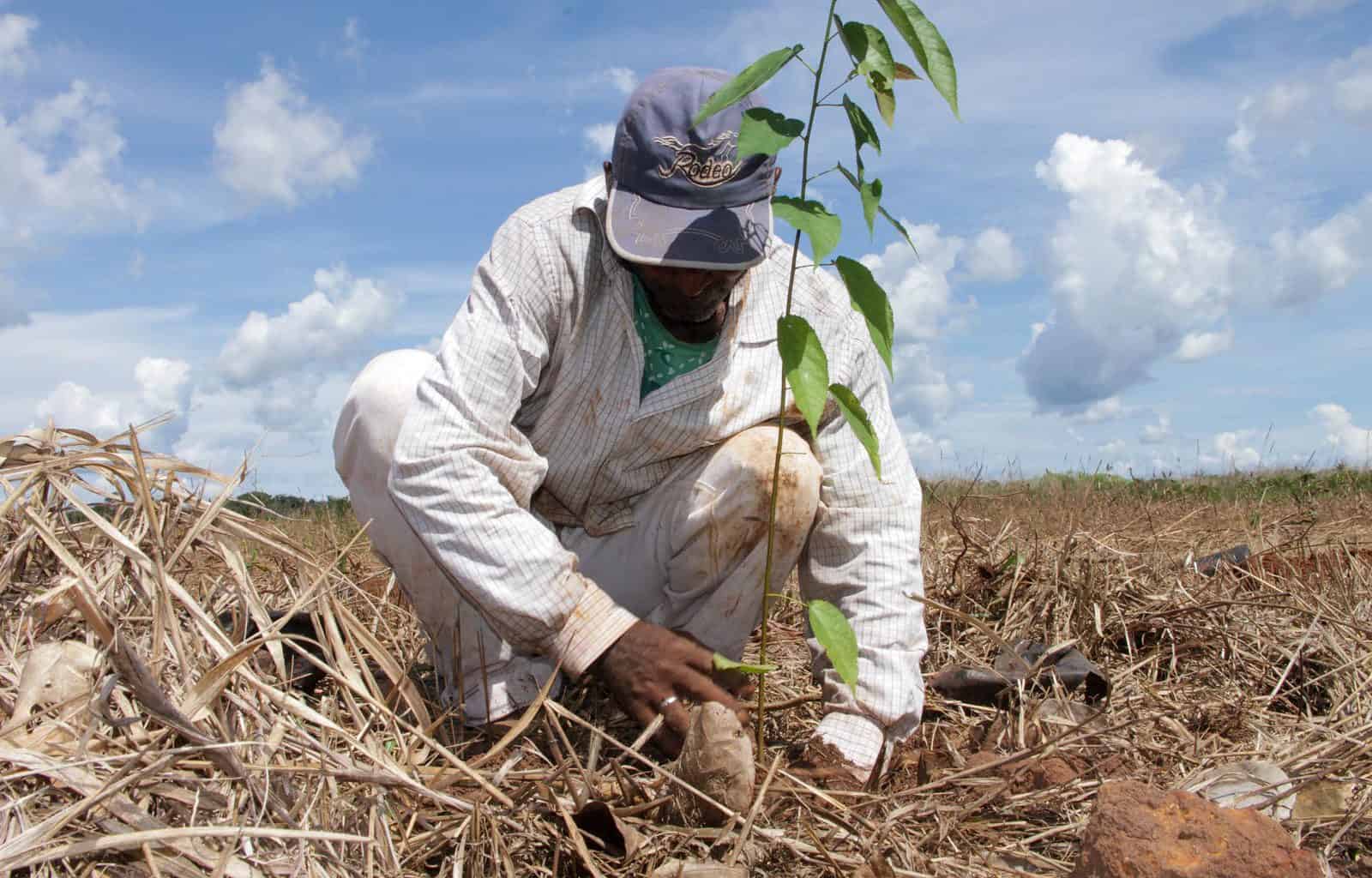 Black Jaguar-33350.JPG