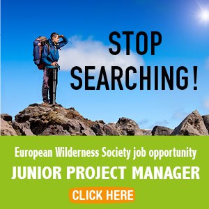 Junior Project Manager Job