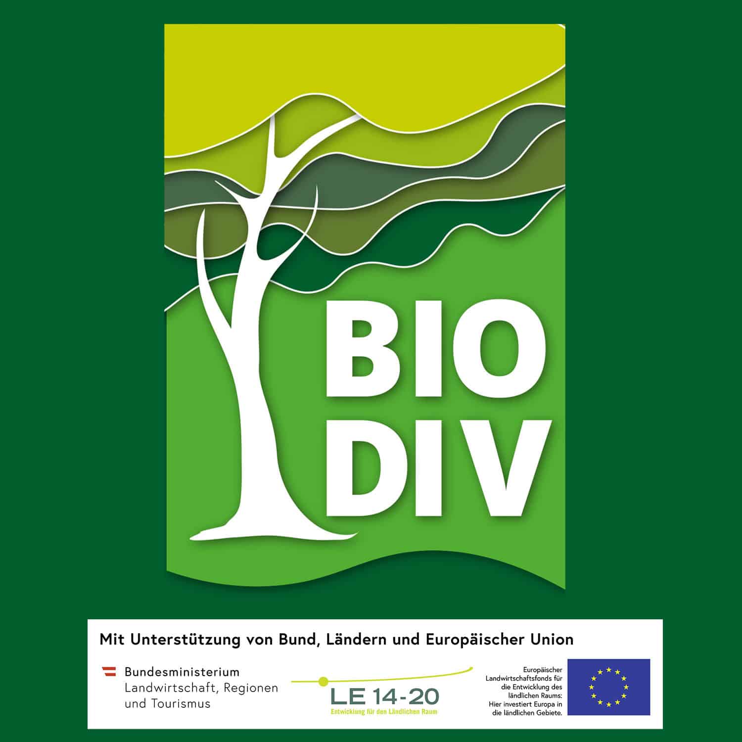 Biodiversität im Wald