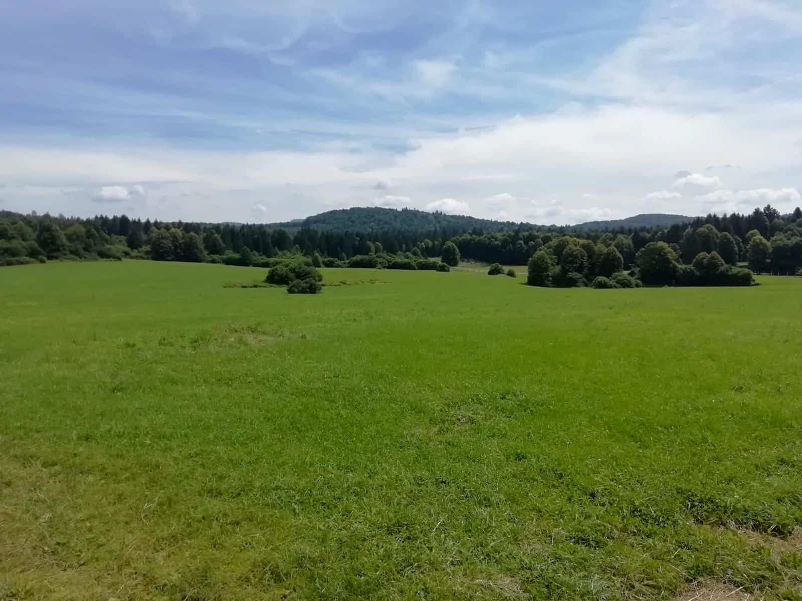 BEECH POWER Saso-32342.jpg