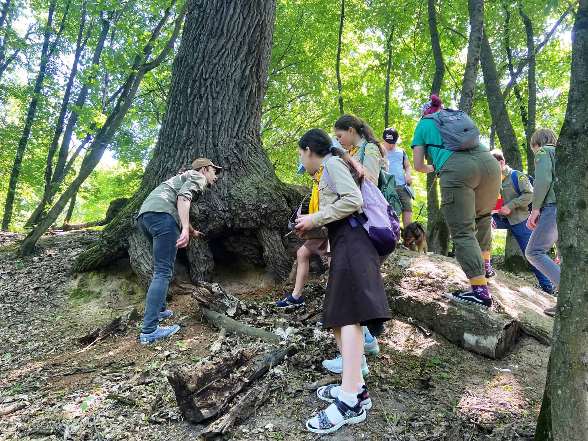 @Photo Holosiivskyy Natural Nature Park