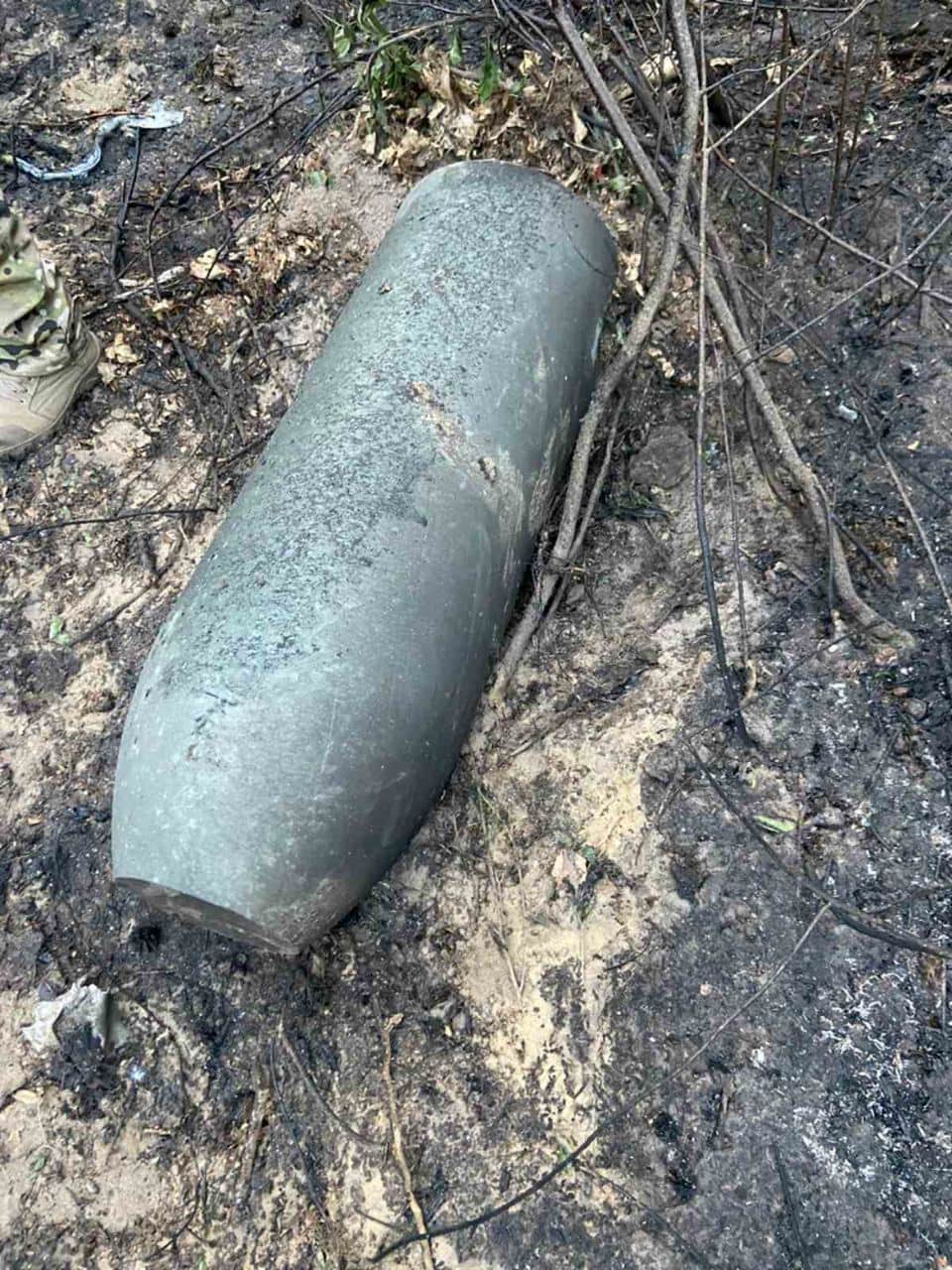 @Photo Holosiivskyy Natural Nature Park