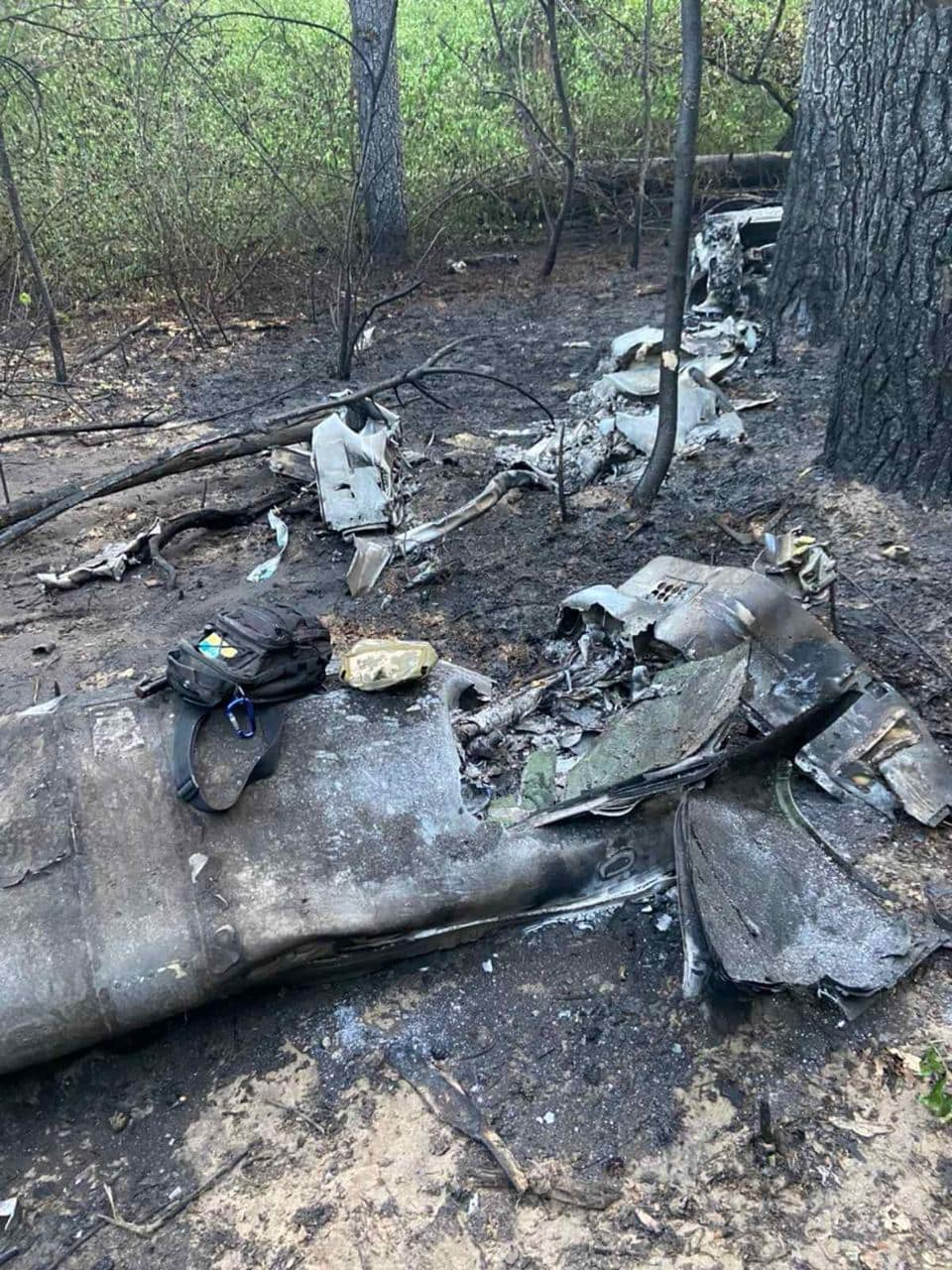 @Photo Holosiivskyy Natural Nature Park