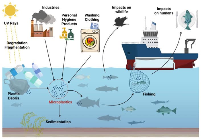 How microplastic enters the environment and how it impacts the environment