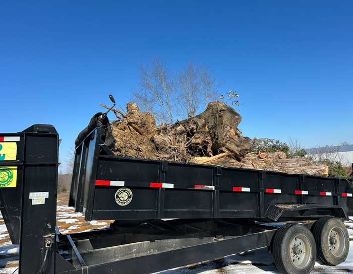 Tree stump removal with heavy-duty equipment in outdoor setting.