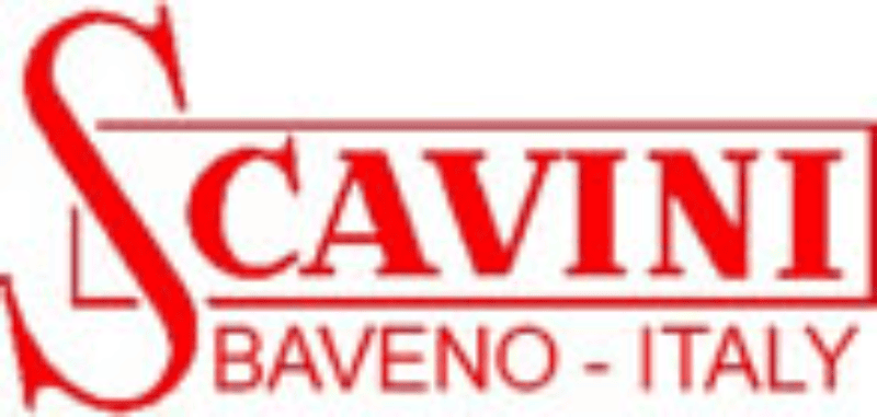Scavini