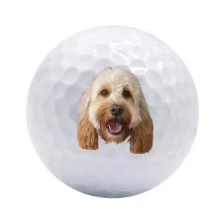 Golf balls with face of your favourite pet