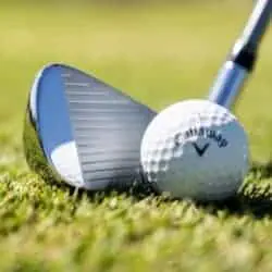 Golf Club 3