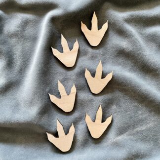 Fotspår - Dinosaurie