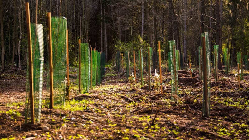 recycling at workit spaces