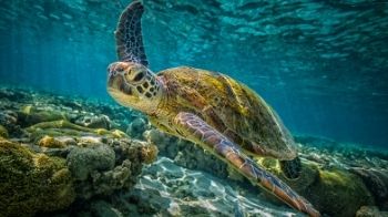 Workit Spaces announces Sustainability strategy and carbon neutral targets