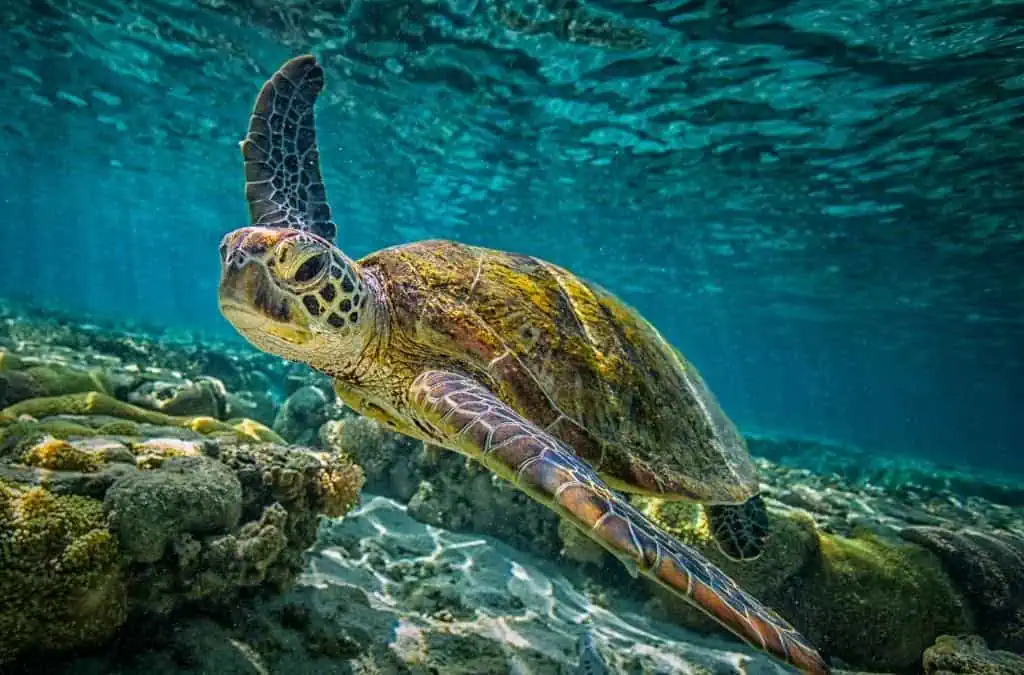 Workit Spaces Sets Carbon Neutral Targets