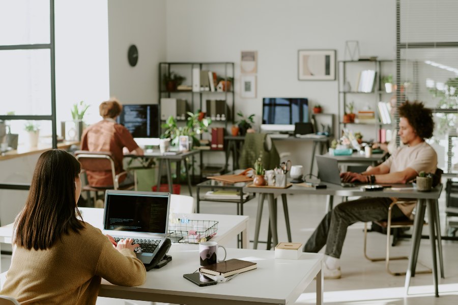 People work at desks in a bright shared office with laptops and plants.