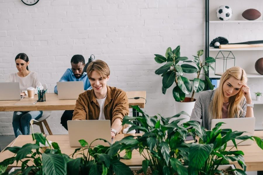 Multiethnic coworkers collaborating at laptops in a bright coworking office.