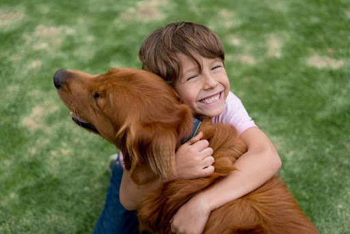 A child in a pink top and blue jeans hugging a golden retriever on a grassy field. The dog has its eyes closed, enjoying the affection meant to represent the reunion that will take place thanks to our door-to-door pet transportation service.
