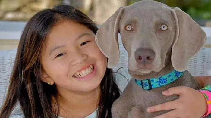 Girl hugging her dog, showcasing the bond and comfort of safe and caring pet transport services.