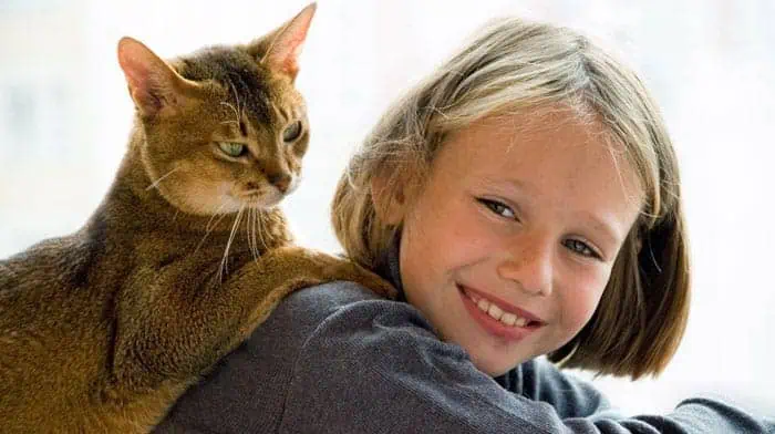 Cat resting comfortably on girls back, demonstrating a relaxed and secure moment before her pet's transport journey.